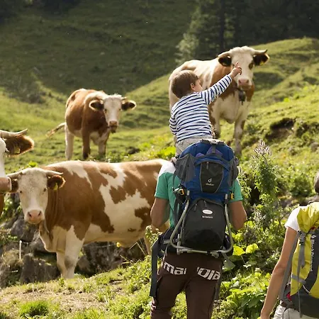 Rothhof Bad Feilnbach
