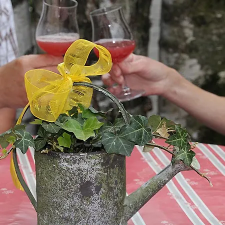 Alojamento de Turismo Rural Rothhof *